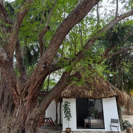Cabanas Camping Ria Celestun Ngoại thất bức ảnh
