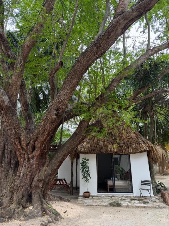 Cabanas Camping Ria Celestun Ngoại thất bức ảnh